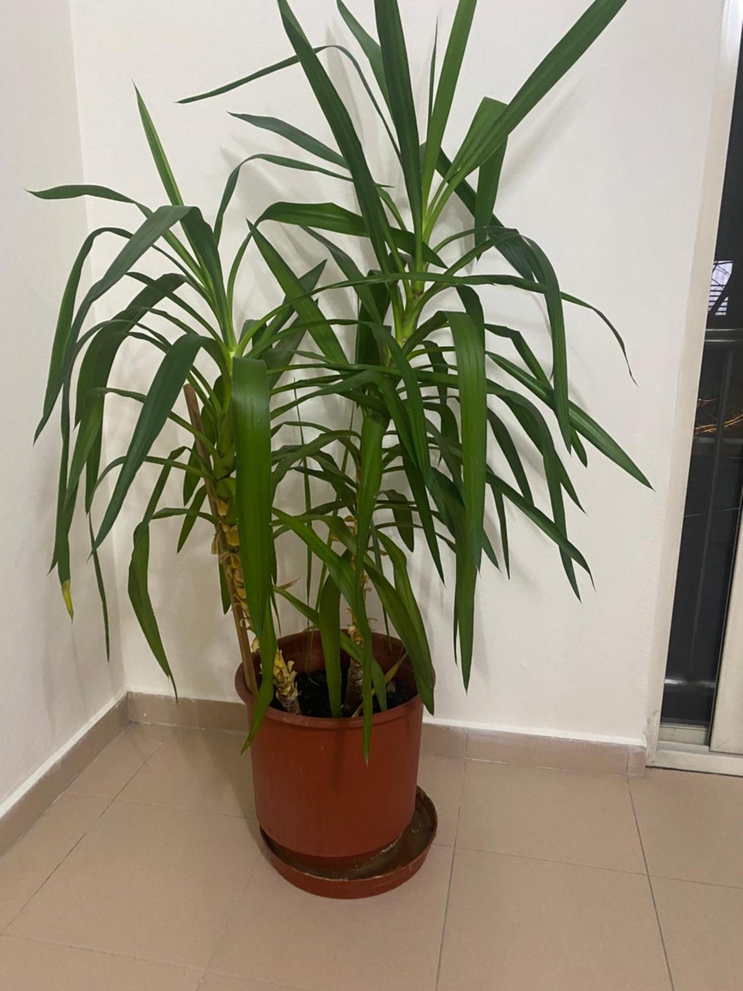 Chlo Apartment 4 Tirane Zewnętrze zdjęcie